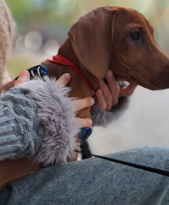 manusi femei-fete, toamna-iarna